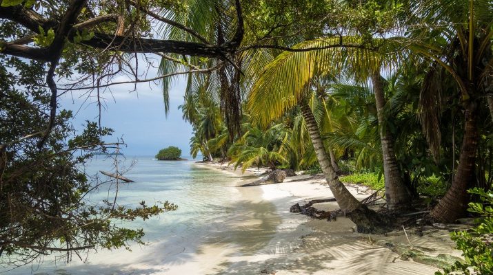 lush tropical camping