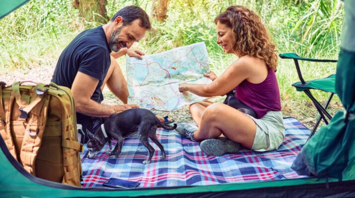 tent carpet