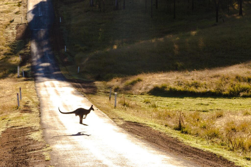 south australia road trips