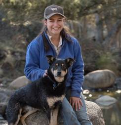rv travel with dogs 
