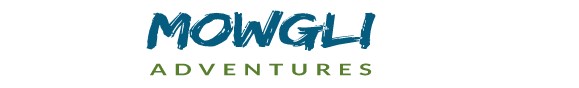 camping blogs